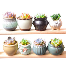 ����ֲ���҃�С���Դ��w���B�մ��莧���M�����l��������Gֲ����