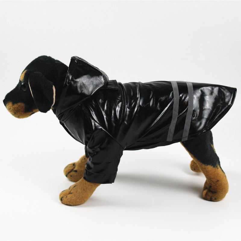 Pet in raincoat on a walk