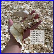 批发杏鲍菇丁片干货煲汤靓汤菌汤包广东火汤