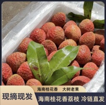 2026���^�����r��ժ��֦������֦������֦�Fժ�F�l���\һ�����l