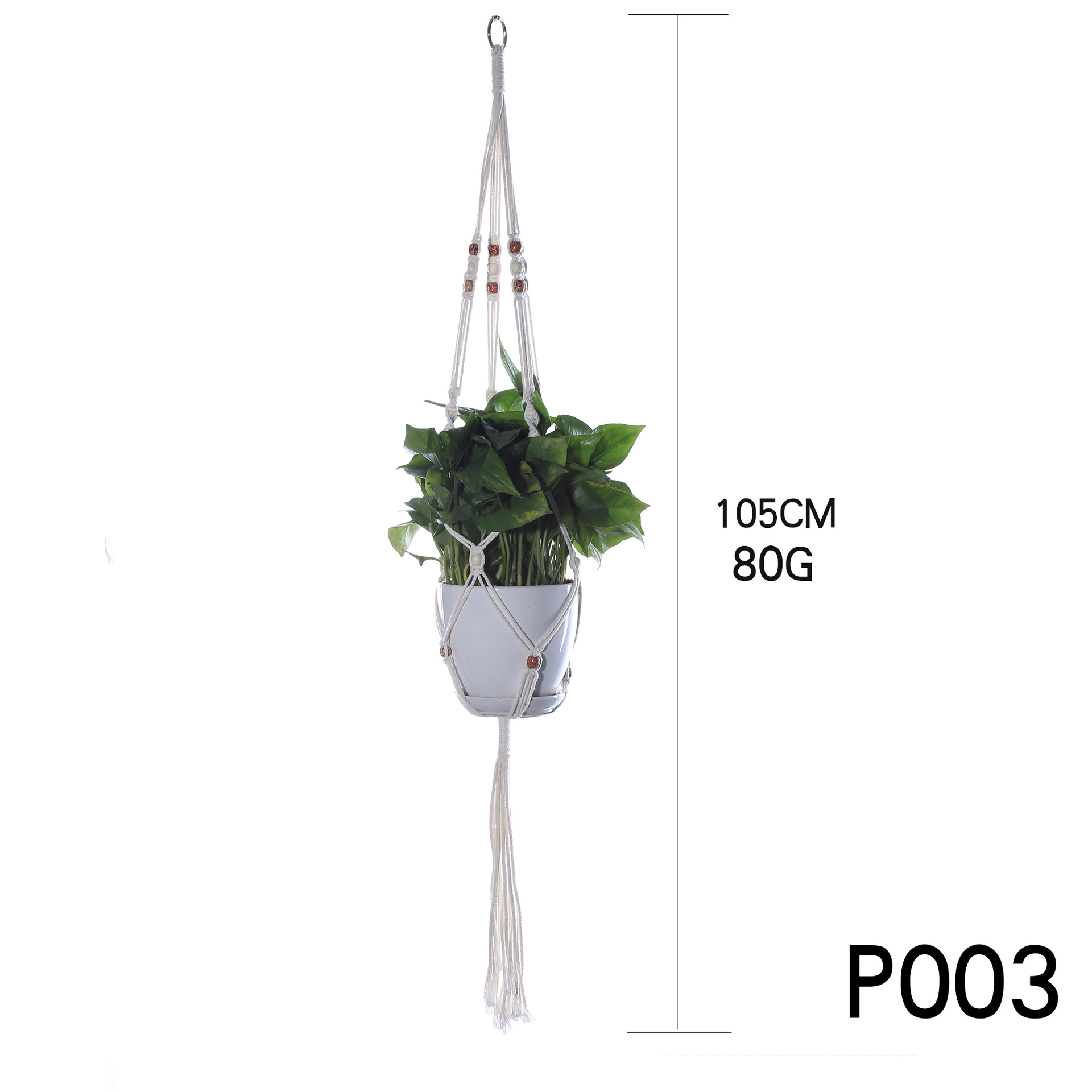 P003