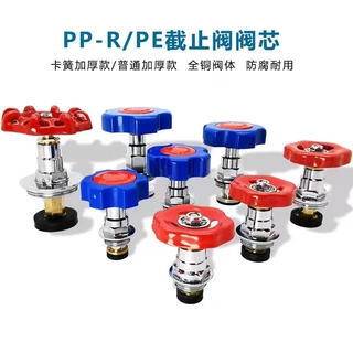厂家批发PPR截止阀4分家装热熔升降阀卡簧式铜截止阀阀芯20多规格