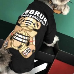 ファッションファッションブランド四季のファッションブランドのぬいぐるみ熊には袖があります。