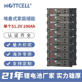 锂电池;其他电池