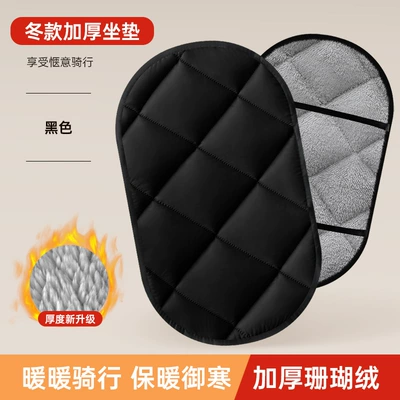 Electric Car Seat Cushion Cover Autumn, Electric car cushion - pure-black-plus-velvet-cushion