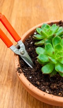 ���I�FƤ�����������Ǽ���Ӽ��๦��PVC�����ֹ����I����