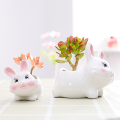 卡通可愛多肉花盆白色綠植陶瓷創意兔子個性簡約創意家用小榕