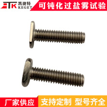 M3M4M5M6���P�T���ݽz������˨�����ݽz�ķ��ݽz