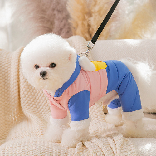 Autumn and winter puppy contrasting stitching traction down jacket medium and small dogs and cats warm cotton coat pet clothes