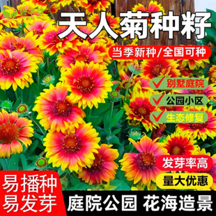 �����˾ջ��N���ļ����N����ͥԺ�̨�����ײ��͟��ͺ����ܷN��