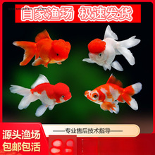 ���~���w�^�p�~���wС���~��ˮ�~�������t�������~��{�^�\����ؔ