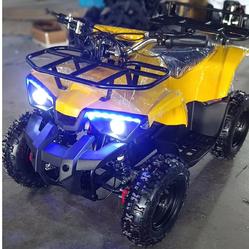 Little Warrior Atv, Electric Start 49Cc All-Terrain Four-Wheel Atv for Children's Park Entertainment and Rental Use