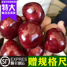 ���B������ش�����Fժ�F�l�ЋDˮ��܇�������r����l؛��S���]