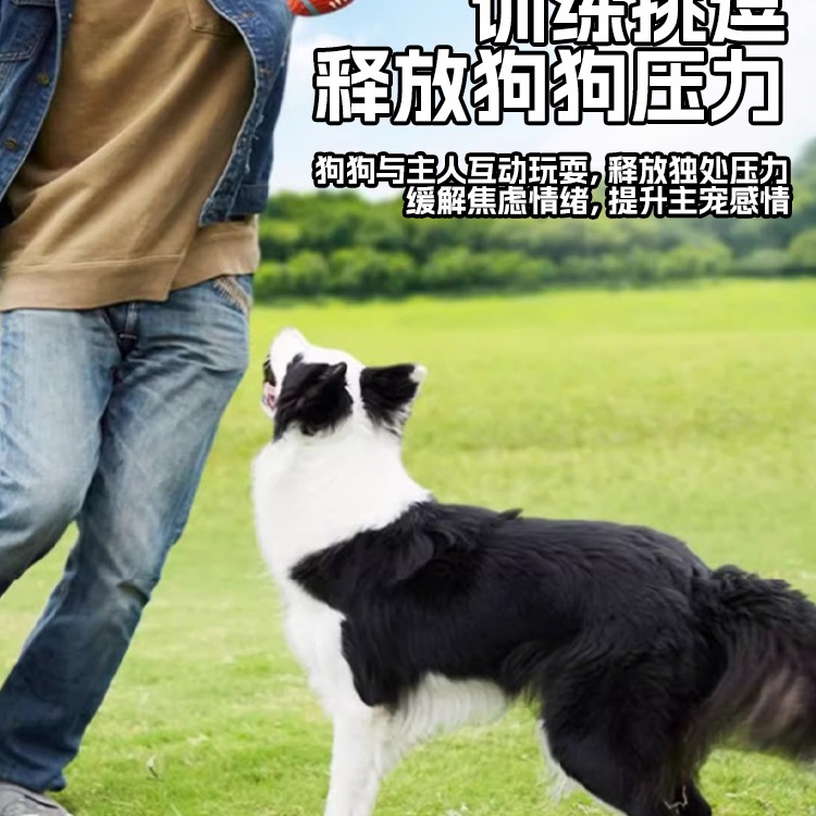 Rugby Dog ​​Toy Main Pet Throwing and Picking up Interactive Chewing Sound Bite-Resistant Puppy Golden Retriever Corgi Boredom Relief Teething Ball