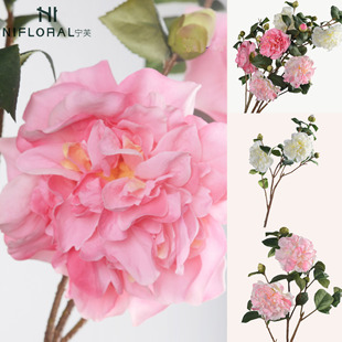 �����Ʒ�|��ɽ��軨�ٻ� �ذ�ǧ��ɽ�軨���滨�ҾӾƵ��c