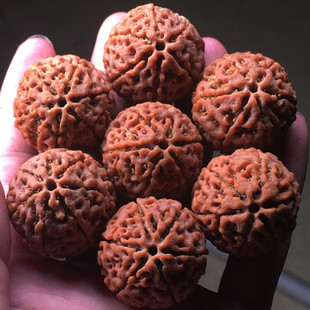 �Ჴ���tƤ�������������ִ���Ůʿ6��7��8��9�Ű�ԭ���������