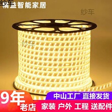 ��led���l cob��ɫ��ɫ׃��220v���������􎧿͏d���ۑ����ˮ