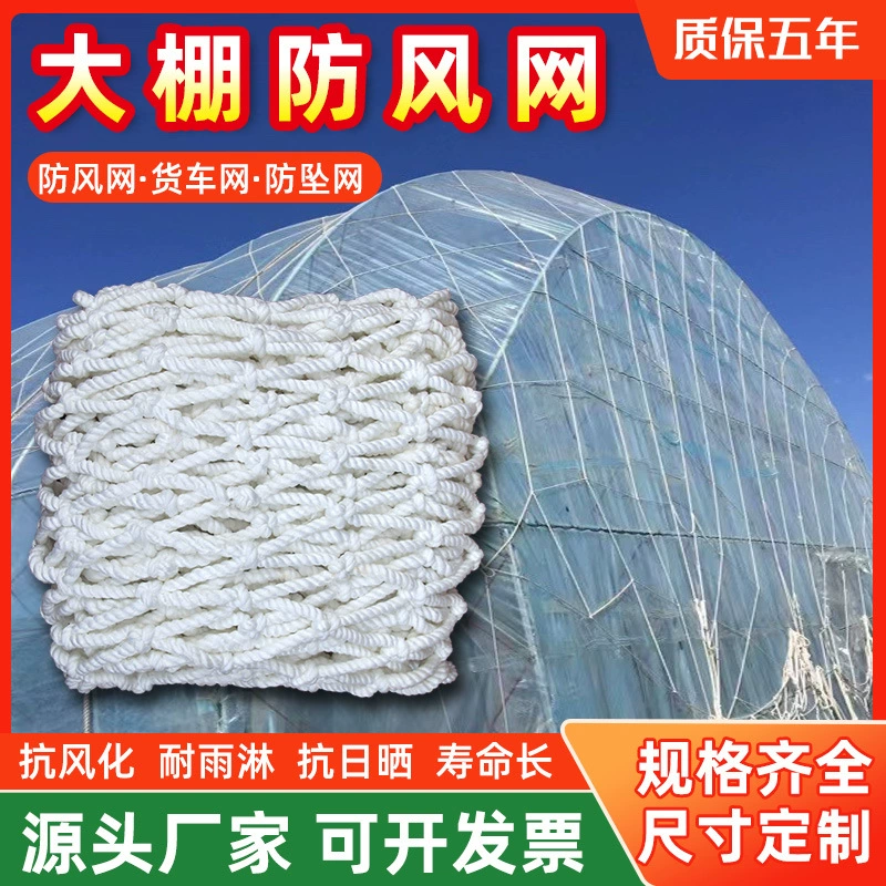 Ветрозащитная сетка для теплиц, ветрозащитная сетка для защиты грузовых посадок, защитная пленочная сетка для теплиц, ветрозащитная сетка для сельскохозяйственных теплиц с большими отверстиями