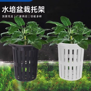 Plastic Hydroponic Planting Basket Soilless Cultivation Planting Net Basket Wall-mounted Water Grass Cup Fish Tank Landscape Decoration Accessories