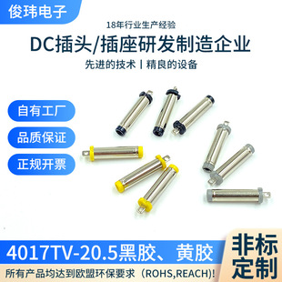 Customized 4017Tv-20.5 Black Glue High Current Dc Tuning Fork Plug Yellow Glue Power Socket Converter Connector