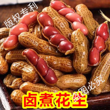 五香味500g袋新鲜带壳卤味花生五香水煮真空小袋卤汁零食卤煮