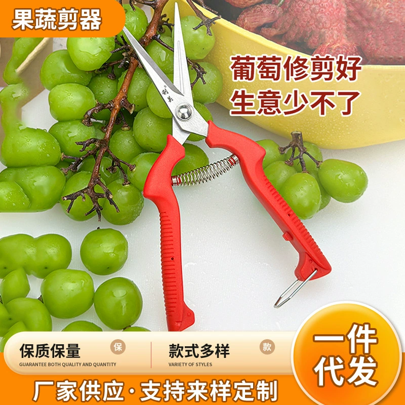Фруктовый магазин виноградные ножницы для сбора фруктов