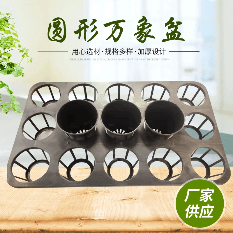 Вьентьянская раковина Круглый квадратный мясистый черный матовый вьентьянский бассейн Утолщенный пластиковый цветочный горшок