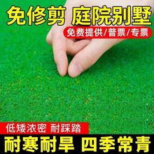 羳؛ƺo¹RļͥԺ̺ƤG