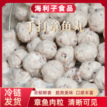 海利子手打章鱼丸200g袋装麻辣烫火锅丸子冷链发货一件代发批发价