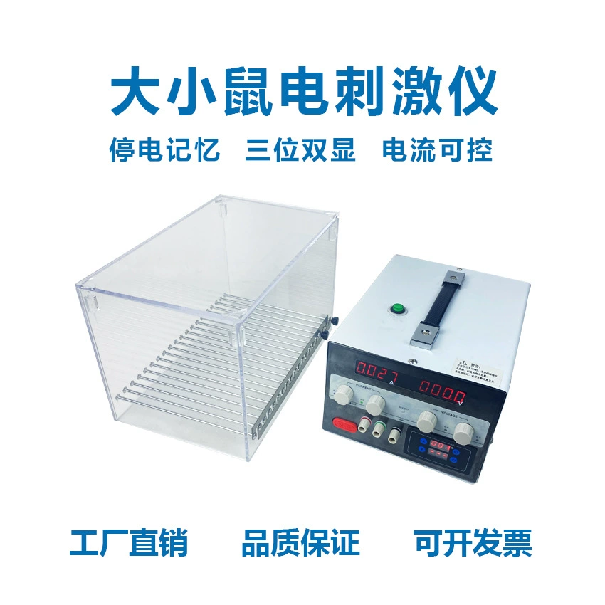 Большая мышь электрическая стимуляция большой мыши большая мышь ноги эксперимент стресс реакция исследование поведения большой мыши