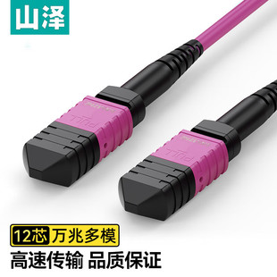 ɽ�ɹ��w���� MPO-MPOĸ�^12оOM4�f�׶�ģ40G��ģ�KG4-PP1203/10