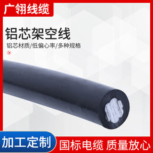 JKLYJ-1KVXоܿվȼ늾| ⹤þܿՌ|