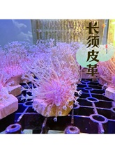 �˹��L�Ƥ��ܛ�wɺ����ˮ�~С���~�^�p�~�����J���T���װ��]