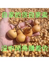 ��Ʒ��ȻС���J�������J����ȫ�����^��������^�ְѼ����N���lľ