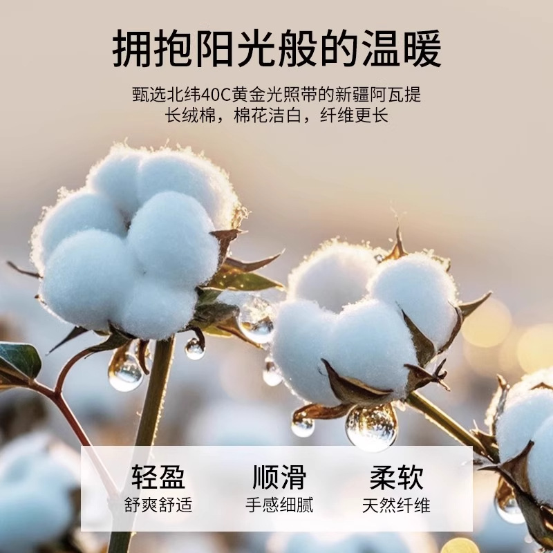 Sábanas de algodón de alta gama de Xinjiang de lana larga una sola pieza de algodón puro 100S algodón único y doble satin tributo grueso colcha de tres piezas