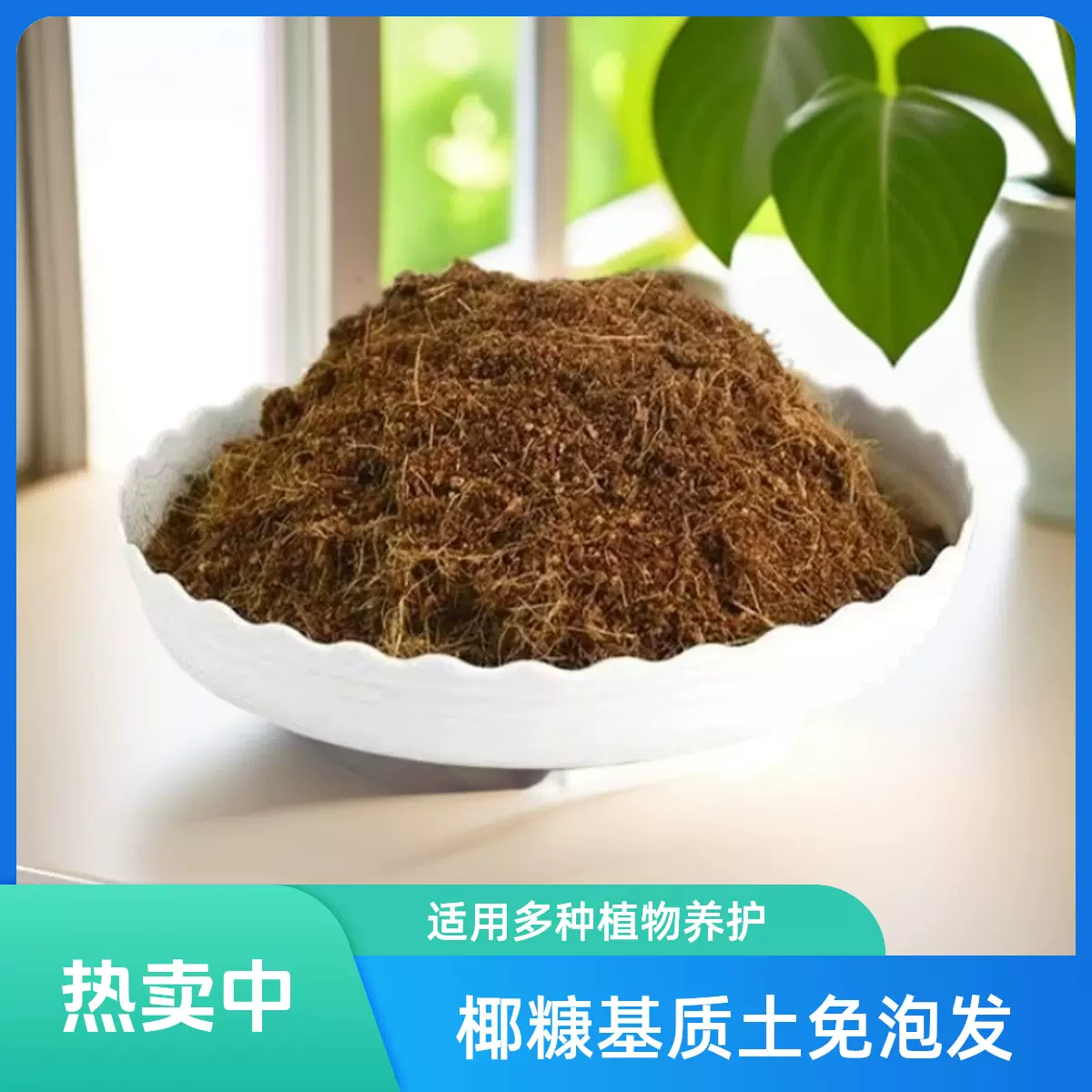 进口椰糠土免发泡月季壮根促长花卉种植扦插育苗土壤改良椰糠种植