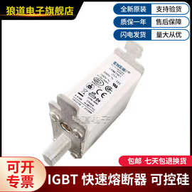 巴斯曼熔断器170M1561 170M1562 170M1563 170M1564 170M1565