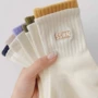 ins防臭女春运动中筒袜