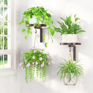 2026���҃�ֲ��Ғ컨�ܽ��٠����ռ{�ܱڒ�ʽ�҃��b��⹤ˇƷ