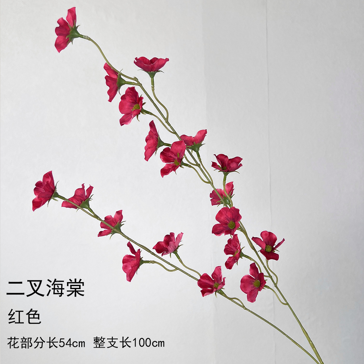 이차해당 - 레드 (Icha Haetang - Red)