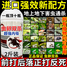 进口强效新配方地上地下害虫通杀地上地下万能杀虫剂害虫农药杀虫