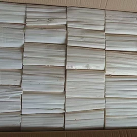 其他小宠用品;干花;猫猫玩具