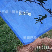 �S�҃��ݹ������l��ɫ¶�I�� �ʲ� ��