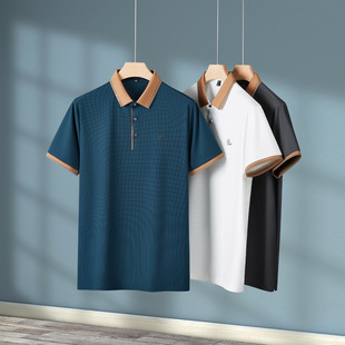 2025 Summer Lapel T-Shirt Men's Accessible Luxury Casual Pure Color Short-Sleeved Polo Shirt Loose Nylon T-Shirt