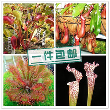 ���Ͳ�ω�ݳ��x����ײͳ�ֵ�i�\�ݾGֲ�����k�������Ի�����]