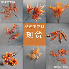 ɫ滨cˇɫYb·ŹT