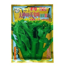 蔬菜种子批发400克利坚大种60天尖叶油绿甜菜心种子