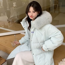 q2025Ů¿LrЂԸмӺL