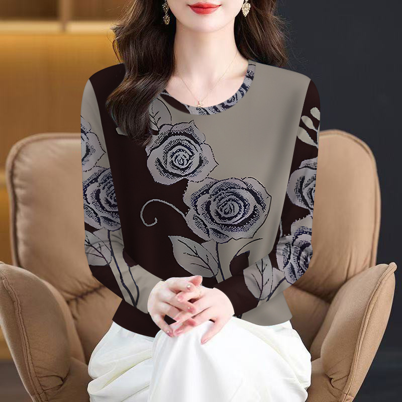 批发2025年新款春秋爆款女士t恤显瘦遮肚圆领时尚长袖一件代发|undefined