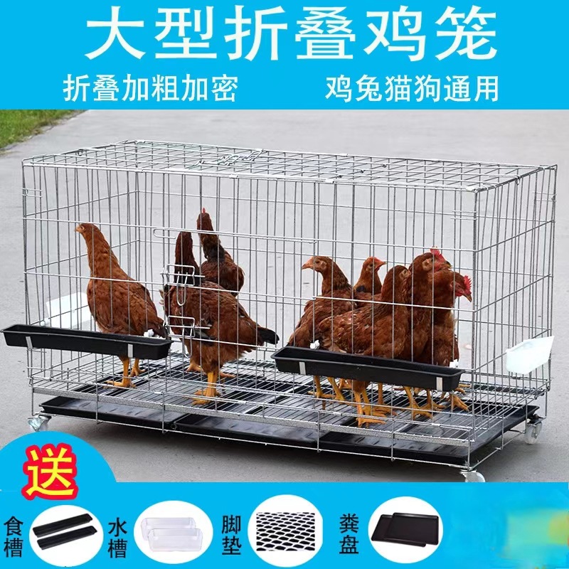 鸡笼家用养殖鸡笼运输笼大号鸡笼子母鸡笼管蛋鸡笼代发专用